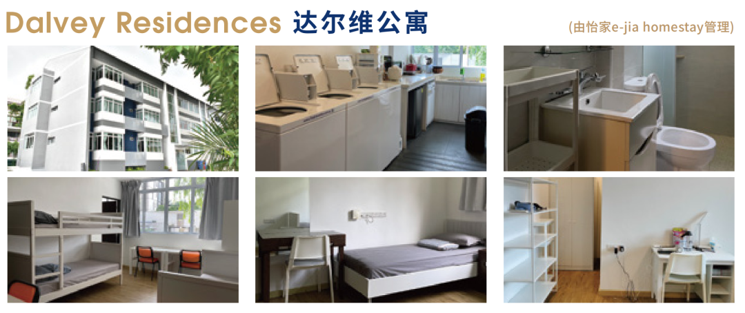 图片14.png