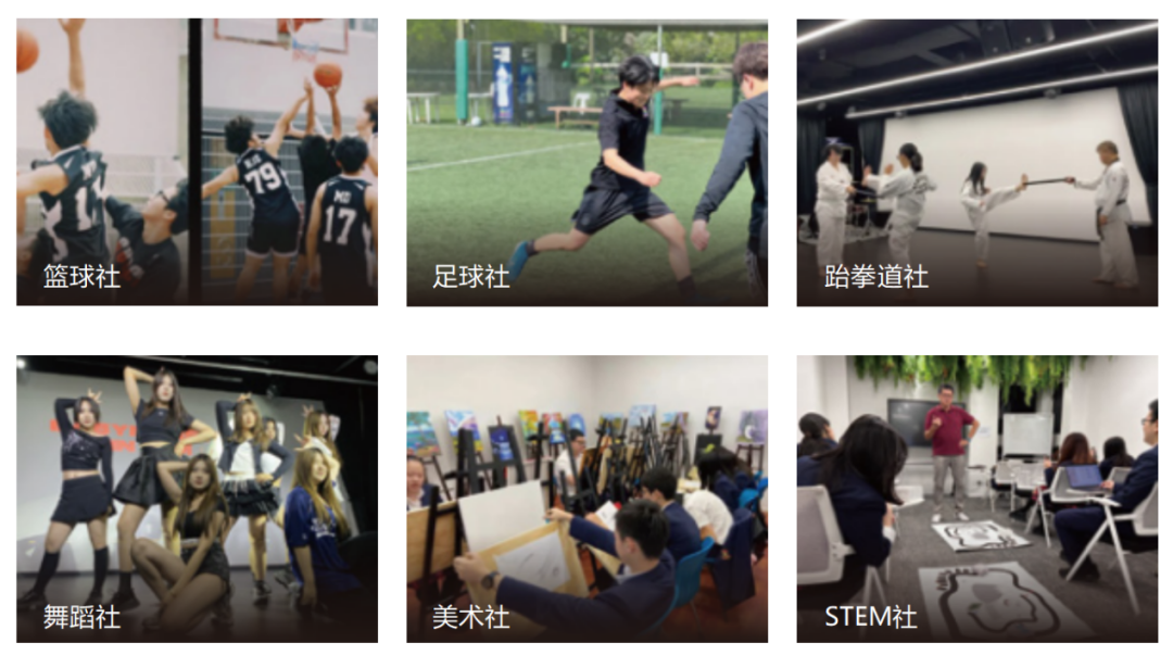图片8.png